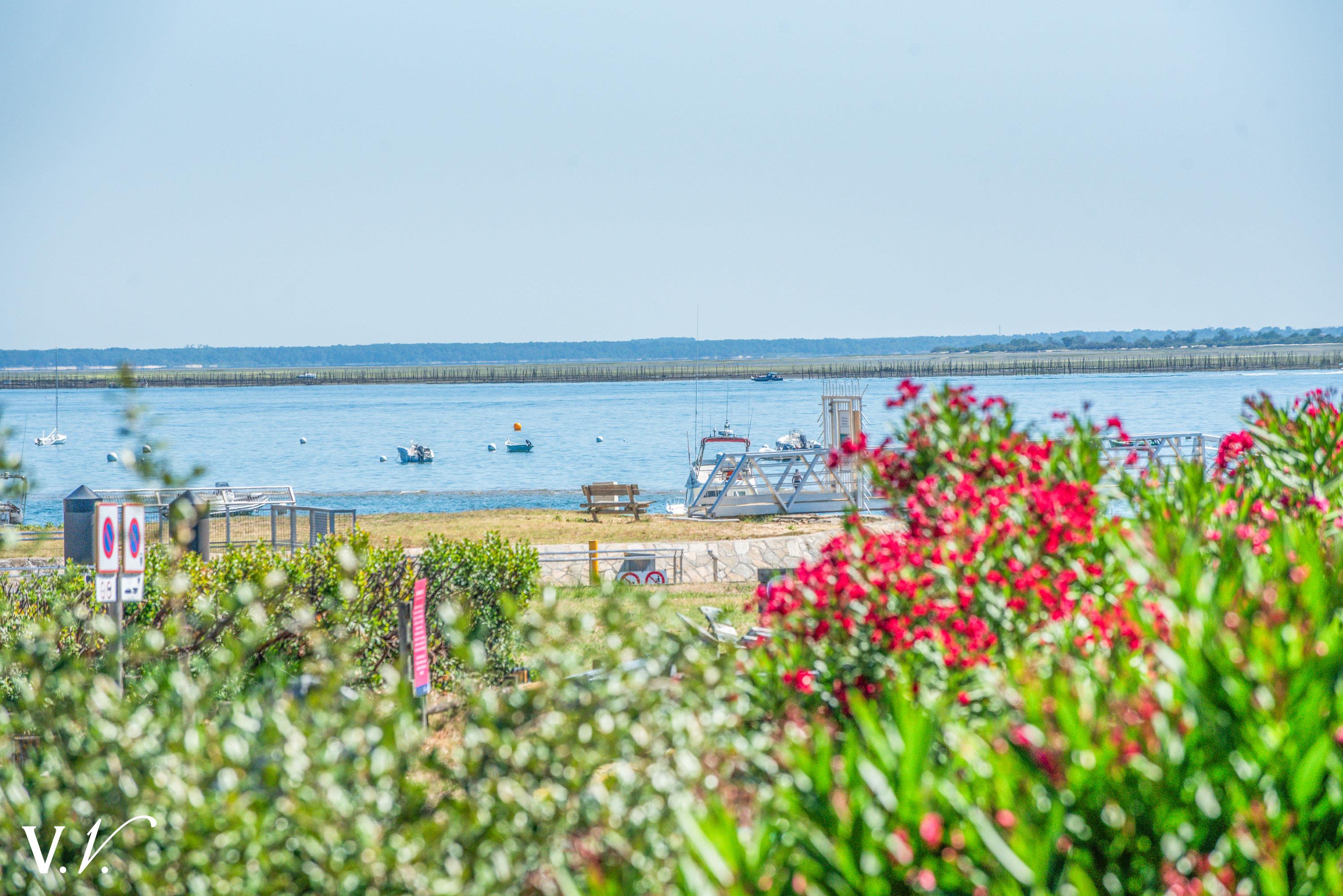Bien de Prestige à LEGE CAP FERRET, 8 pièces à 3 926 000 €