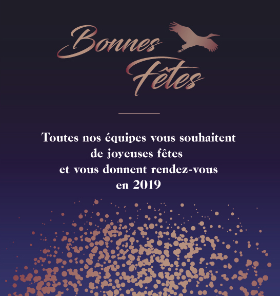 Nous vous souhaitons une excellente année 2019 !
