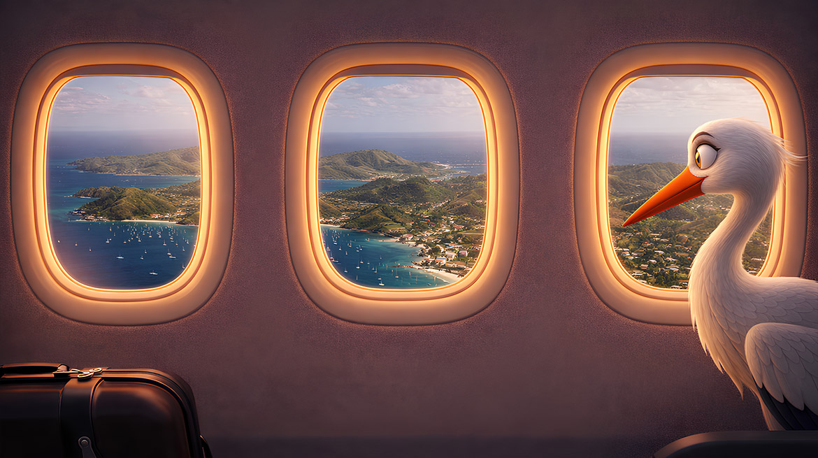 HUMAN ouvre sa première agence en Guadeloupe