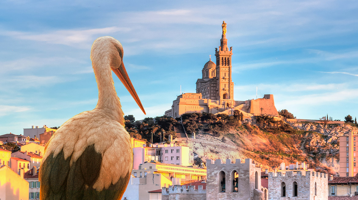 HUMAN Immobilier s’installe à Marseille HUMAN Immobilier s’installe à Marseille