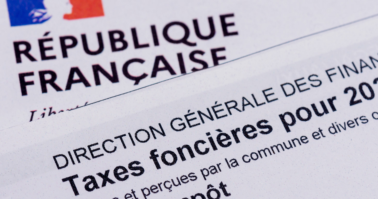 Pourquoi créer une SCI n'est pas forcément une bonne idée ?