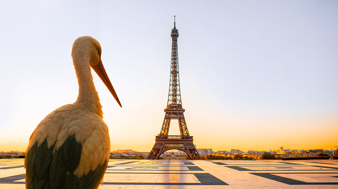 HUMAN ouvre sa première agence à Paris